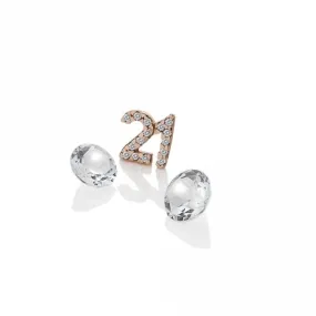 Hot Diamonds Anais Rose Gold Plated Sterling Silver 21 Charm AC060