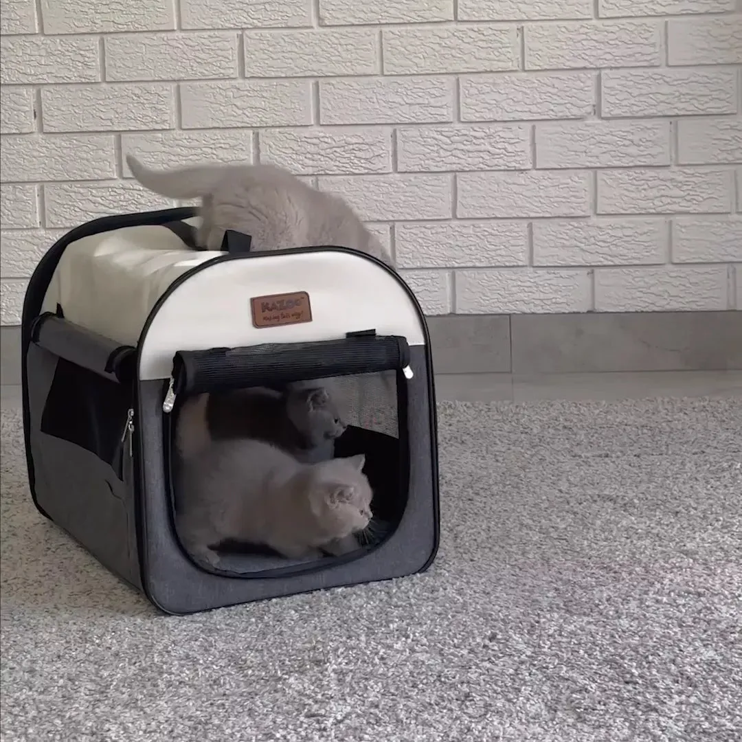 Pop Up Pet Travel Crate