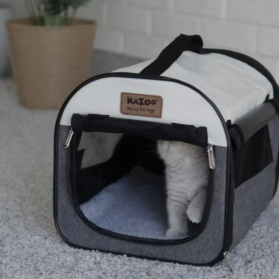 Pop Up Pet Travel Crate
